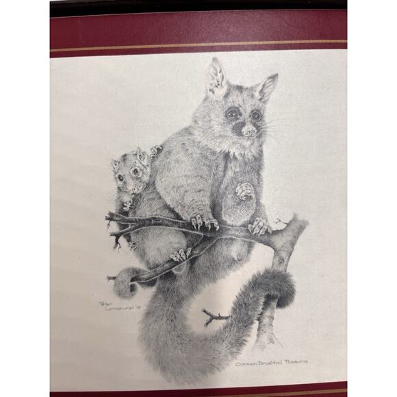 Vintage Clover Leaf Set 6x Place Table Mats Cork Australian Animals Fauna Wombat - Picture 6 of 7